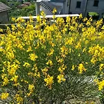 アパート Un Soffio Dal Cielo *