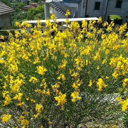 Lägenhet Un Soffio Dal Cielo *